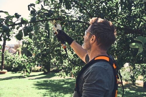 STIHL ASA 140 Battery Secateurs