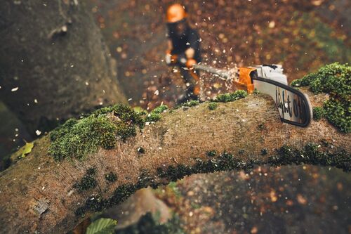 Stihl HTA 160 Battery Pole Saw