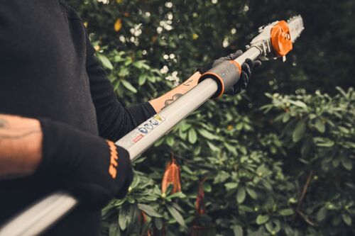 Stihl HTA 160 Battery Pole Saw